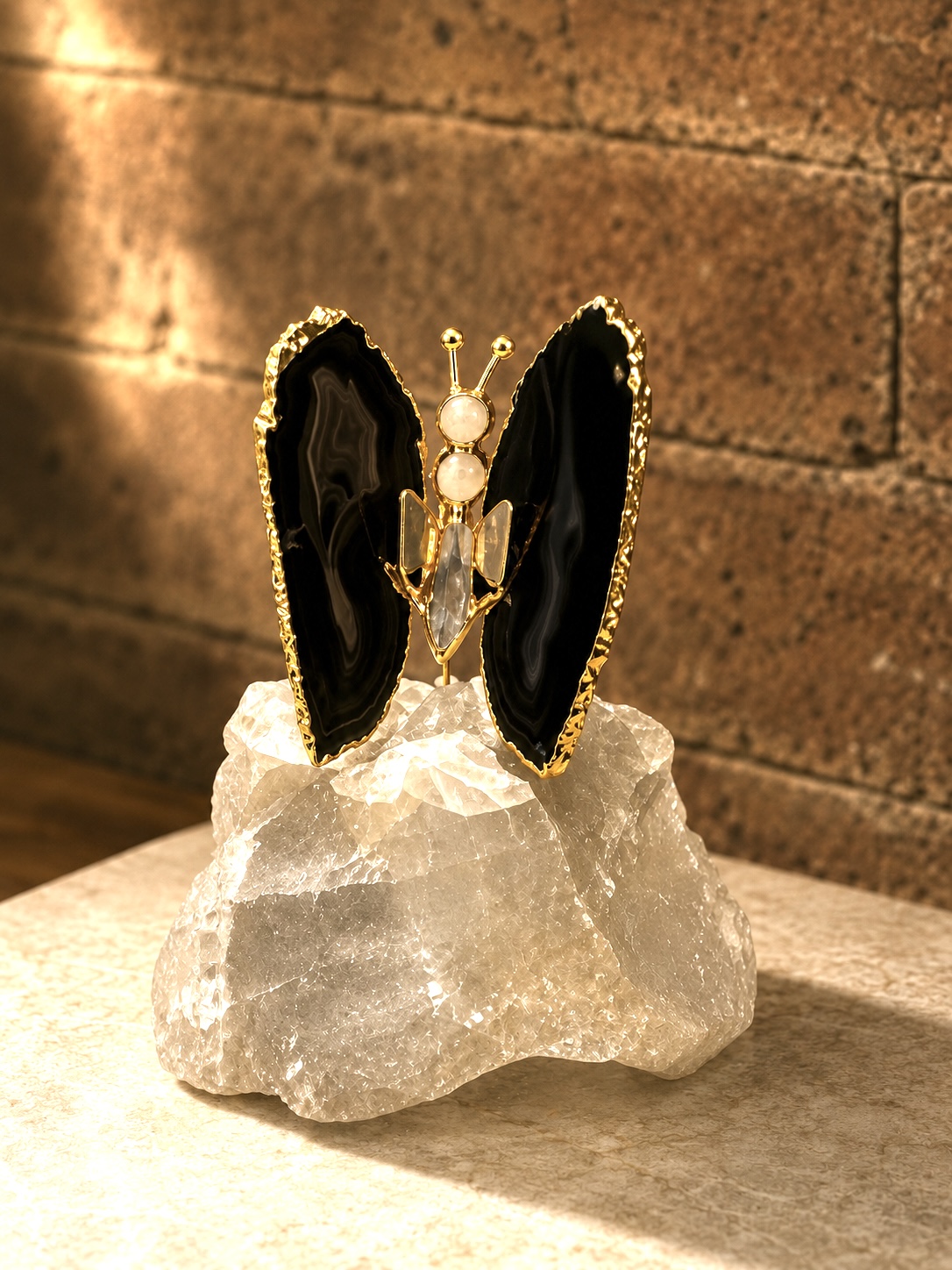 Borboleta na pedra